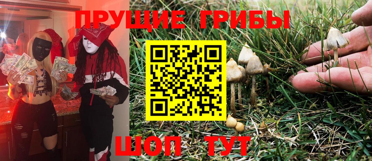 Галлюциногенные грибы Psilocybe  Вход с VPN  наркота  Псилоцибиновые грибы MAGIC MUSHROOMS  Кисловодск 